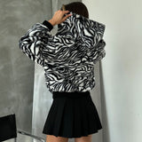TABA ZEBRA
